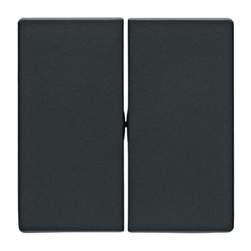 Berker 16236086 Wippe – Q.1/Q.3, 2-fach, anthrazit samt