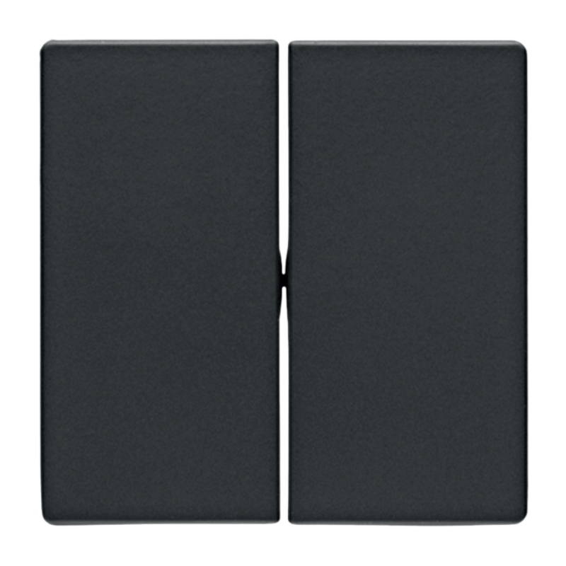 Berker 16236086 Wippe – Q.1/Q.3, 2-fach, anthrazit samt