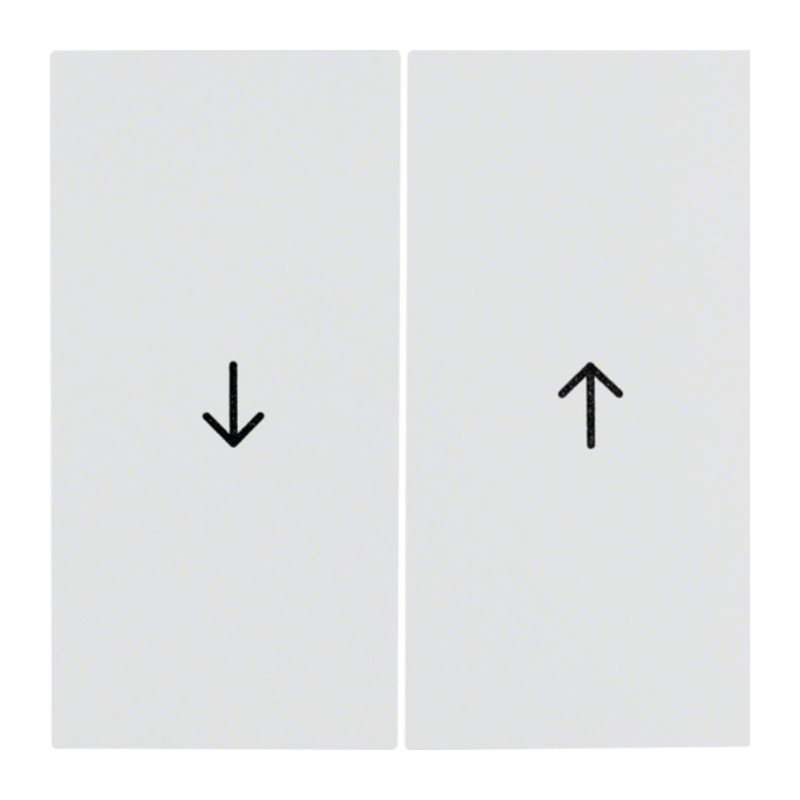 Berker 16258989 Wippe – S.1/B.3/B.7, 2-fach, Pfeil Symbol, polarweiß glänzend