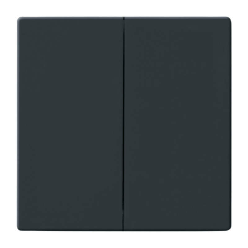 Busch-Jaeger 1785-81 Wippe – Future, 2-fach, anthrazit