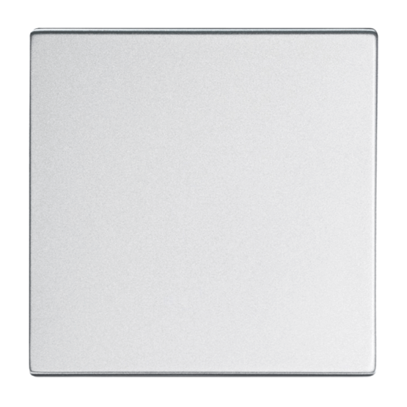 Busch-Jaeger 1786-83 Wippe – Future, 1-fach, alusilber