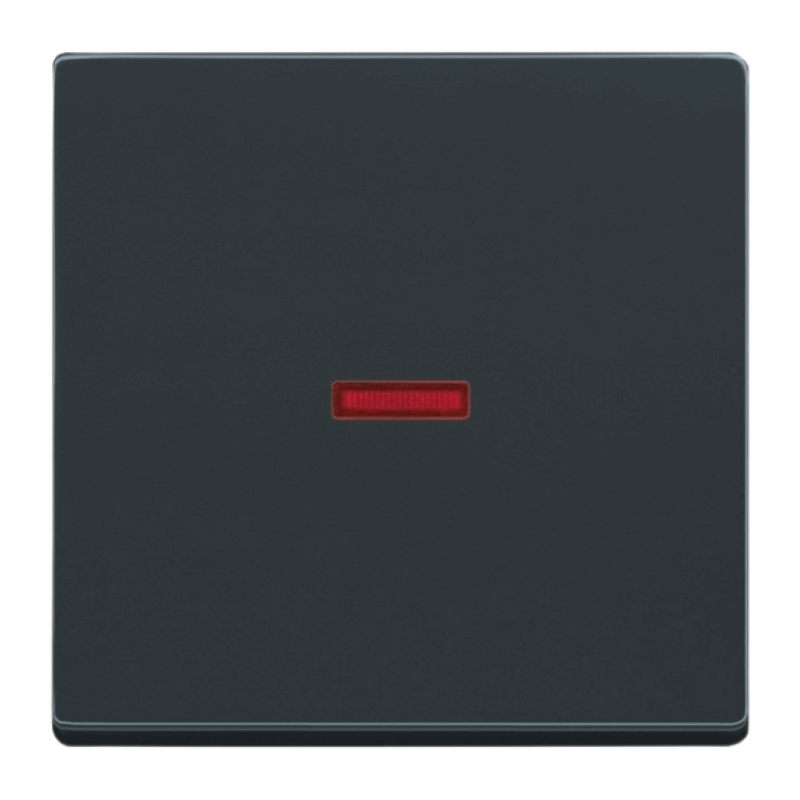 Busch-Jaeger 1789-81 Kontrollwippe – Future, 1-fach, großes Fenster, rot, anthrazit