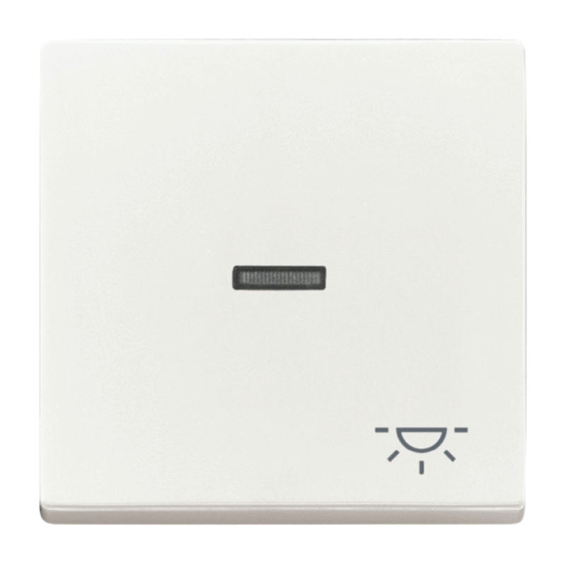 Busch-Jaeger 1789LI-84 Kontrollwippe – Future, 1-fach Licht, Fenster, transparent, studioweiß