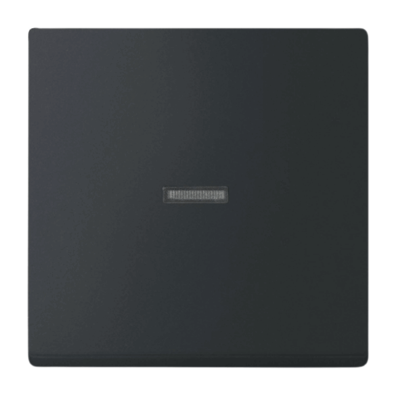 Busch-Jaeger 1789N-885 Kontrollwippe – Future, 1-fach, schwarz matt