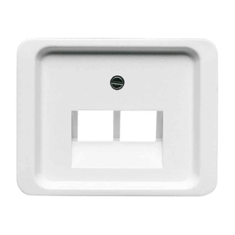 Busch-Jaeger 1803-02-24G Zentralscheibe – 2-fach, studioweiß