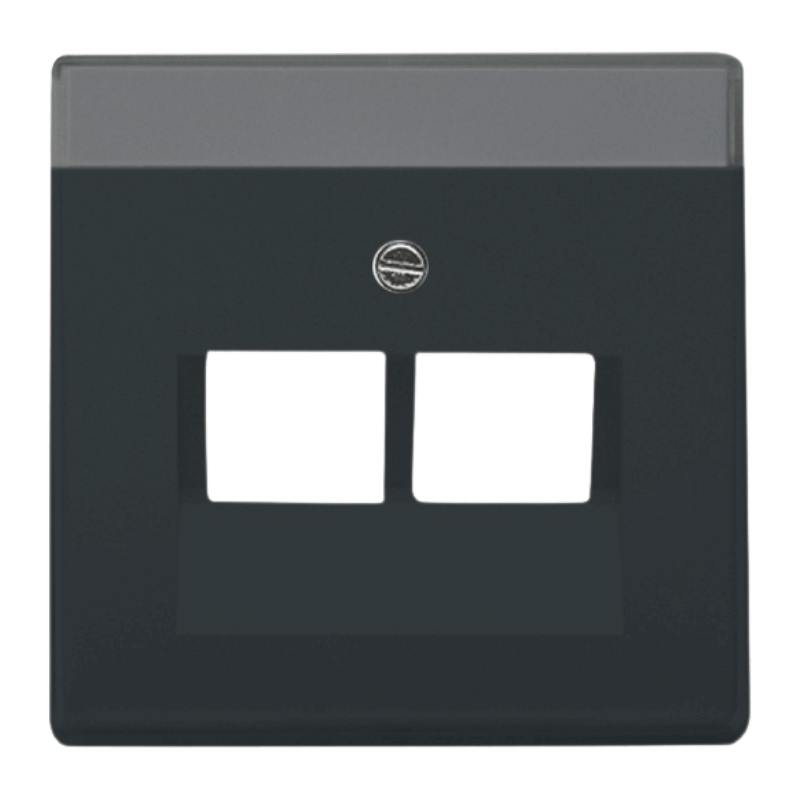Busch-Jaeger 1803-02-81 Netzwerkabdeckung – Future, 2-fach, anthrazit