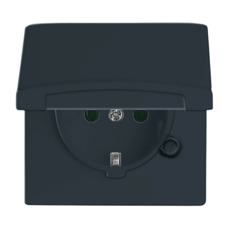 Busch-Jaeger 20EUGK-35-101 Schuko-Steckdose – Allwetter 44, Klappdeckel, anthrazit