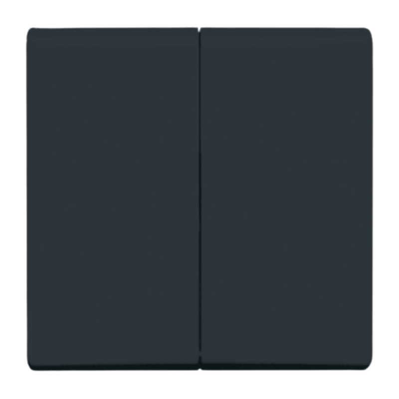 Busch-Jaeger 2105-35 Wippe – Allwetter 44, 2-fach, anthrazit