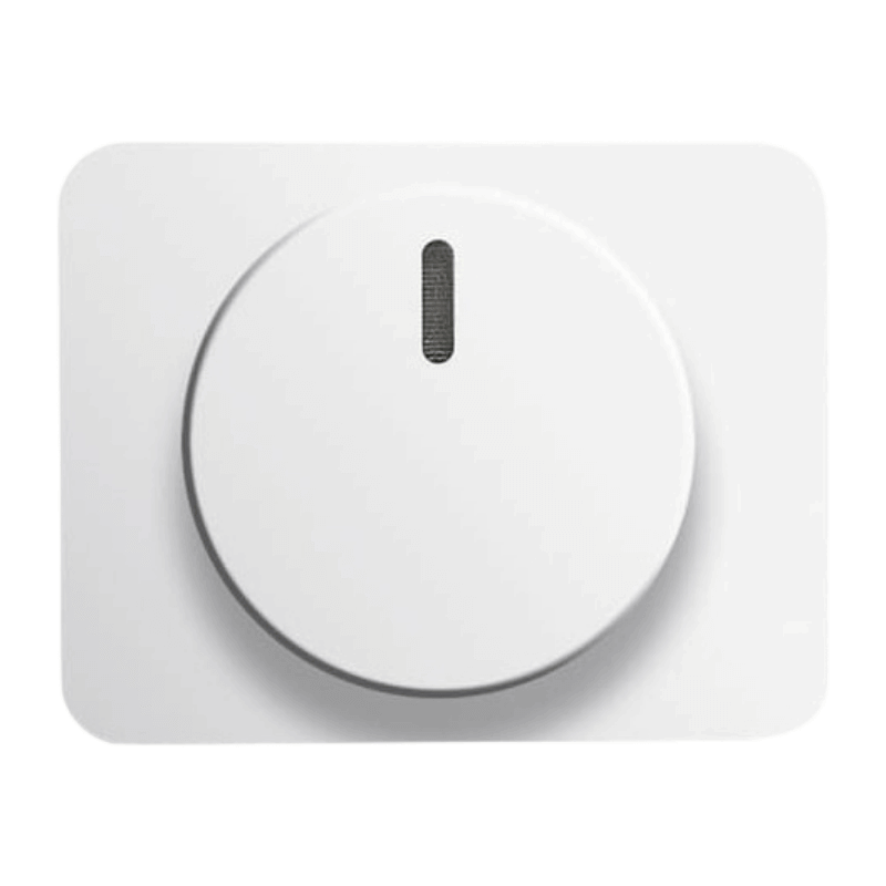 Busch-Jaeger 6540-24G Zentralscheibe mit Drehknopf – Befestigungsmutter, Glimmlampe, studioweiß