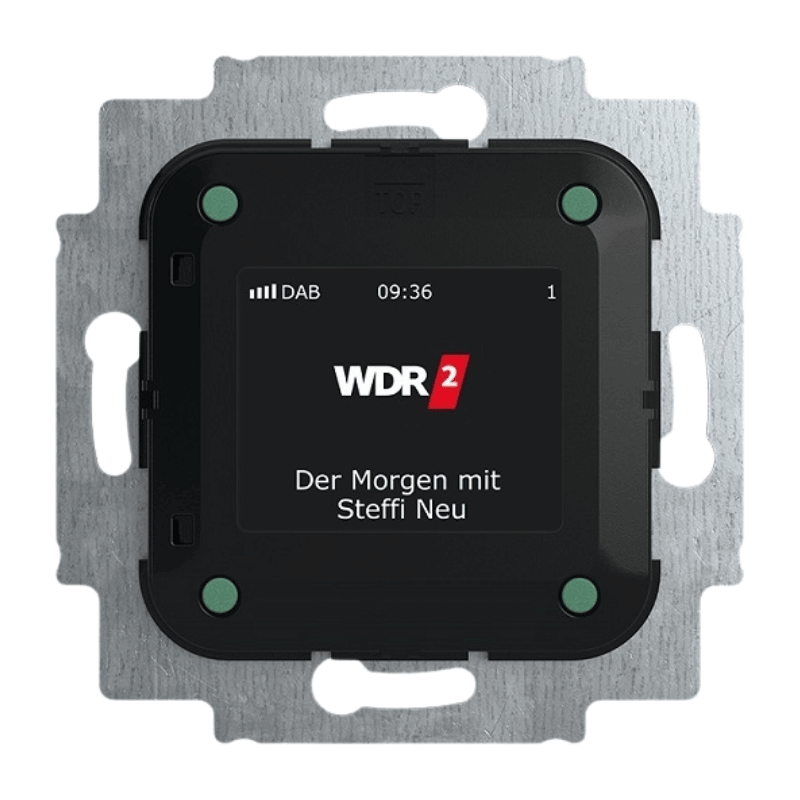 Busch-Jaeger 8215U-101 Unterputzradio-Einsatz – DAB+
