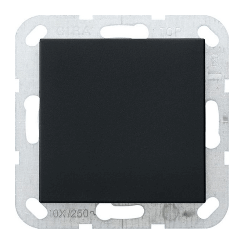 Gira 0268005 Blindabdeckung – System 55, Standard, schwarz matt