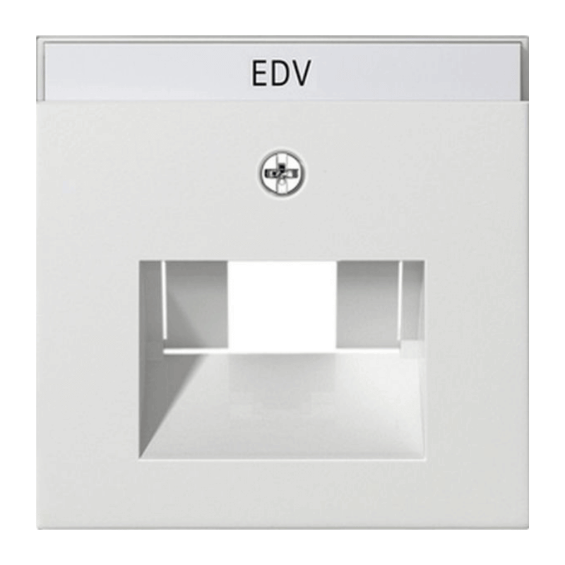 Gira 028427 Netzwerkabdeckung – System 55, 1/2-fach, Schriftfeld, reinweiß seidenmatt