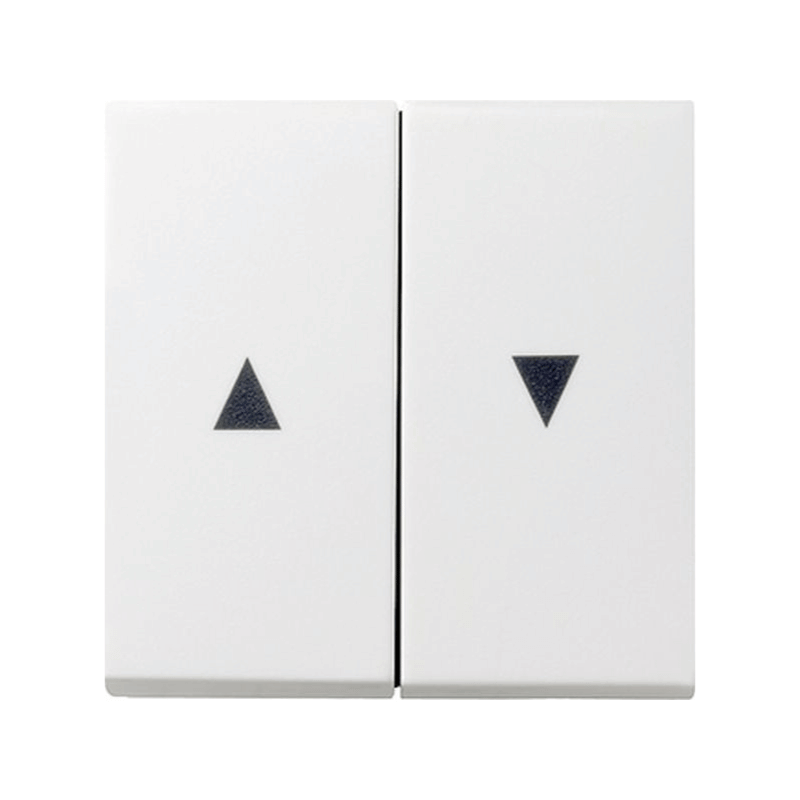 Gira 029427 Jalousie-Wippe – System 55, 2-fach, Pfeilsymbol, reinweiß seidenmatt