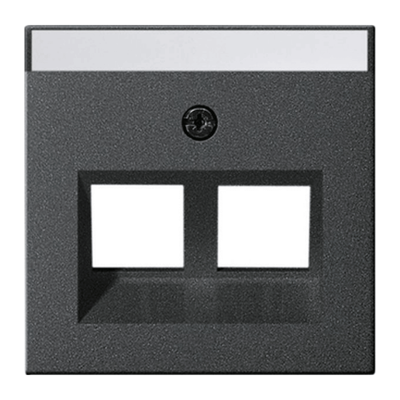 Gira 264028 Modular-Jack-Abdeckung – System 55, 2-fach, Schriftfeld, anthrazit
