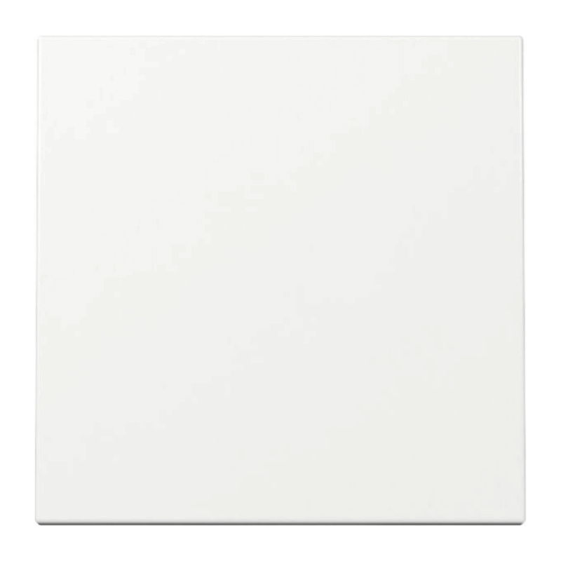 Gira 329603 Wippe – System 55, 1-fach, reinweiß glänzend