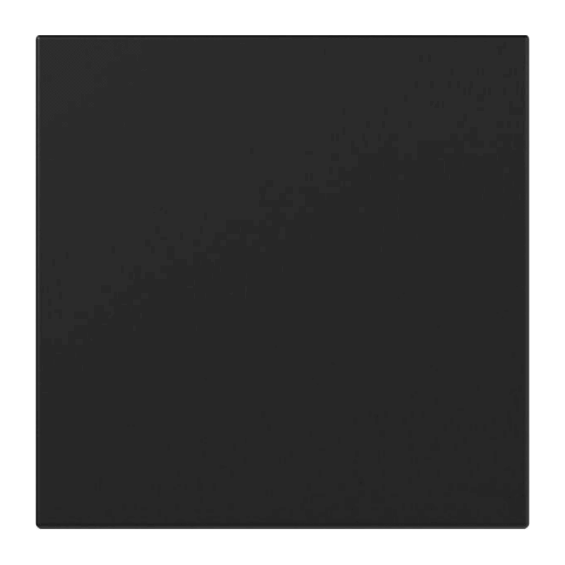 Gira 3496005 Wippe – System 55, 1-fach, gerade, schwarz matt