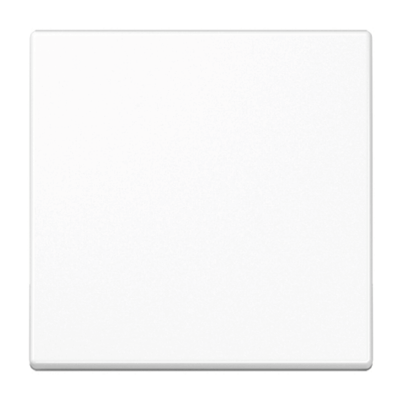 Jung A1700WW Taster – A, 1-fach, alpinweiß