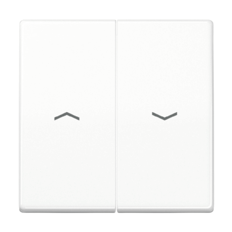 Jung AS591-5PWW Jalousie-Wippe – AS, 2-fach, Pfeilsymbole, alpinweiß