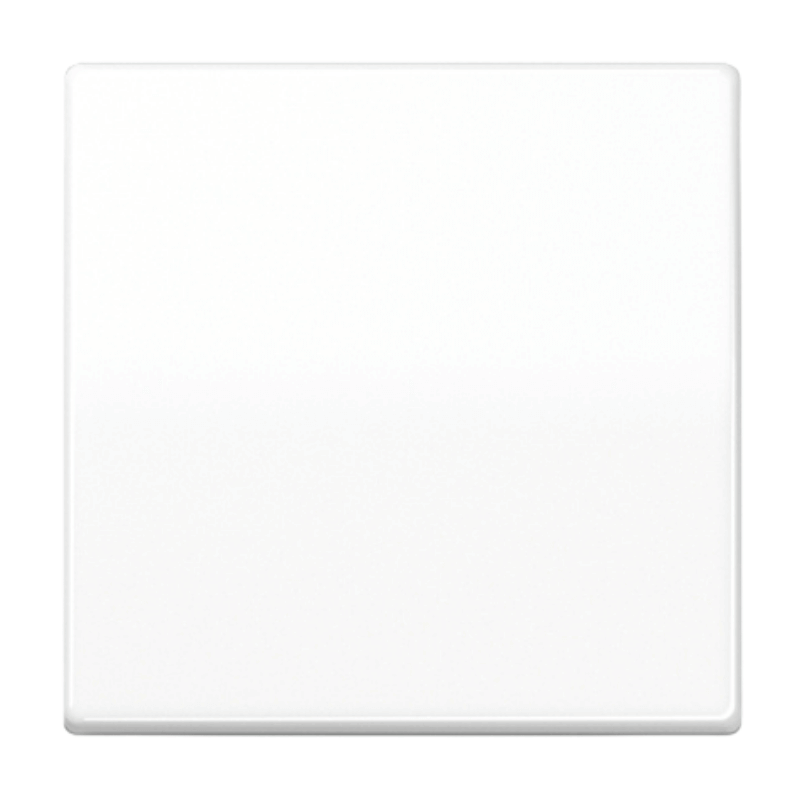 Jung AS591BFWW Wippe – AS, 1-fach, alpinweiß