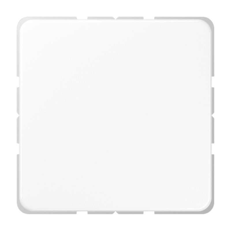 Jung CD594-0WW Blindabdeckung – CD, gerastet, alpinweiß