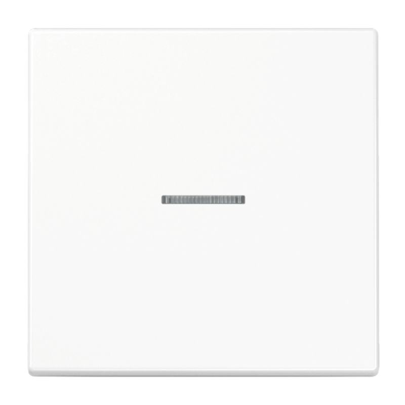 Jung LS990KO5WW Kontrollwippe – LS, 1-fach, alpinweiß