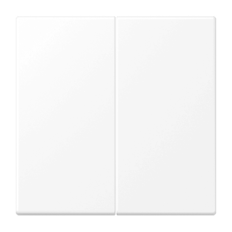 Jung LS995WWM Wippe – LS, 2-fach, schneeweiß matt