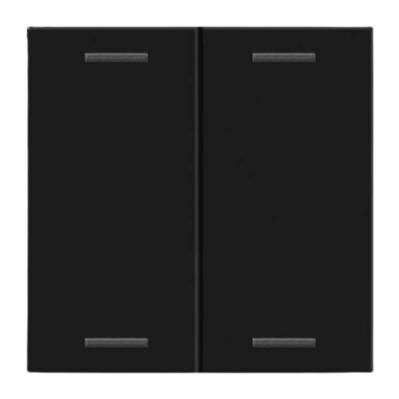 MDT Wippe BE-TAL55W206.01 Neutral 2-fach in schwarz matt für Tastsensor Light 55