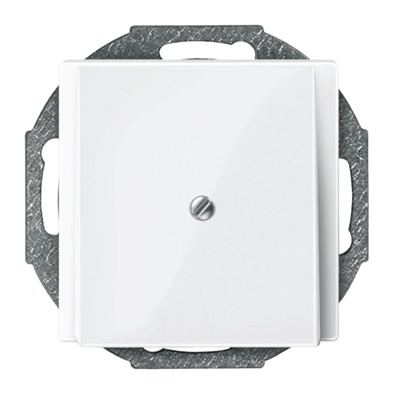 Merten 296319 Zentralplatte für Leitungsauslass – System M, polarweiß glänzend