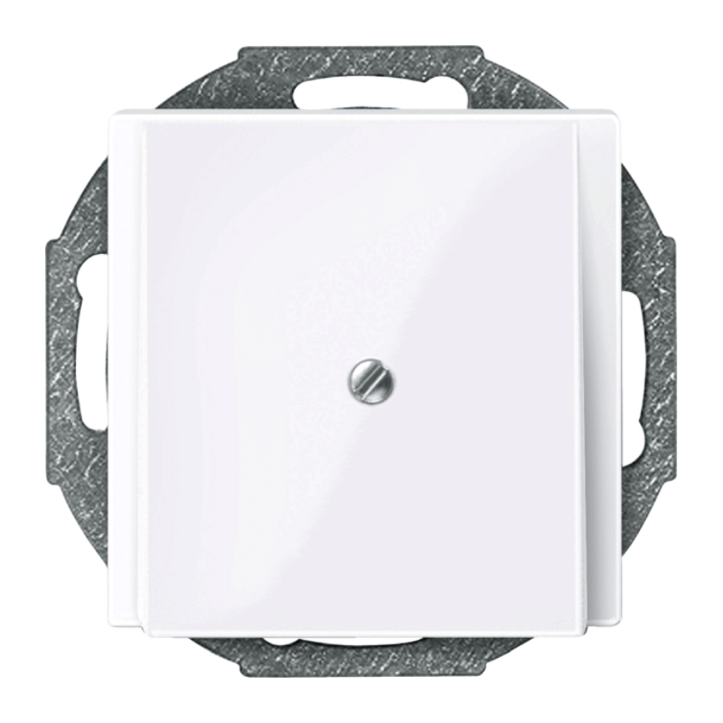 Merten 296325 Zentralplatte für Leitungsauslass – System M, aktivweiß glänzend