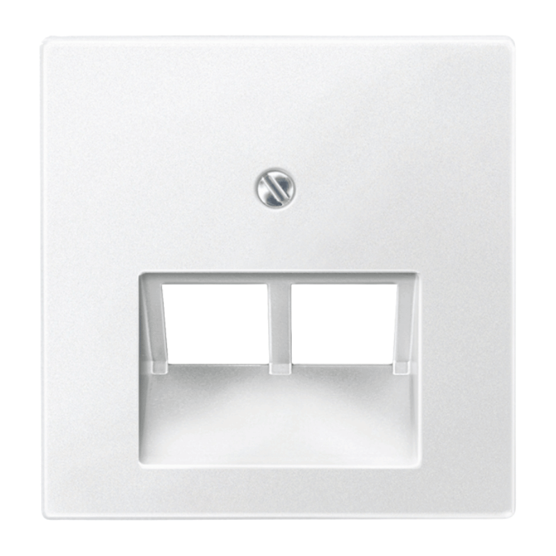 Merten 298019 Netzwerkabdeckung – System M, 2-fach, polarweiß matt