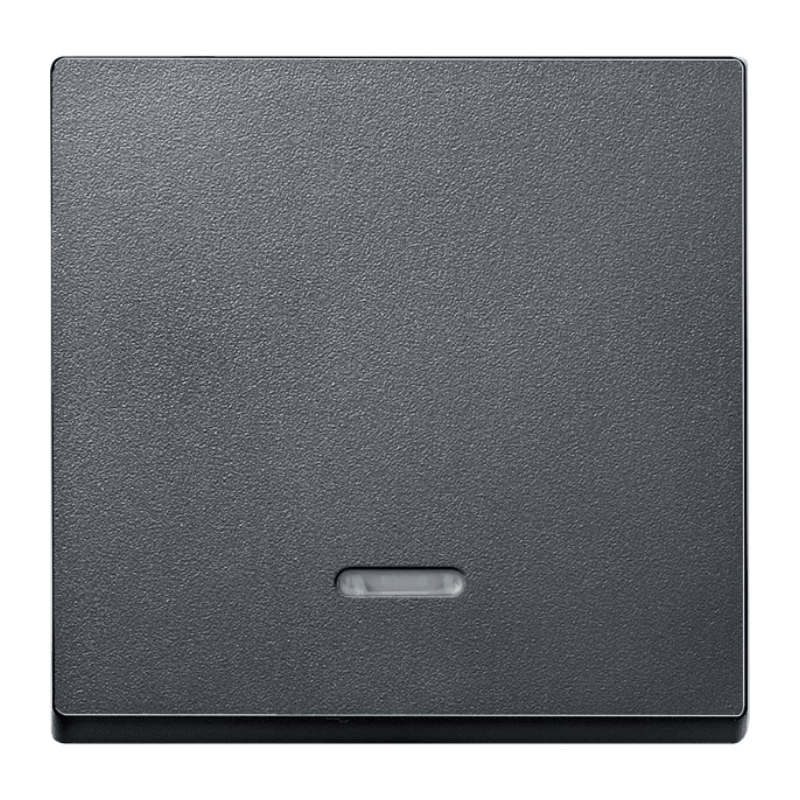 Merten 431014 Kontrollwippe – System M, 1-fach, anthrazit