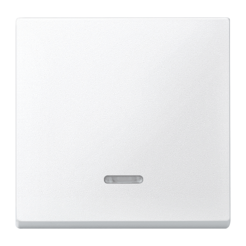 Merten 431019 Kontrollwippe – System M, 1-fach, polarweiß matt