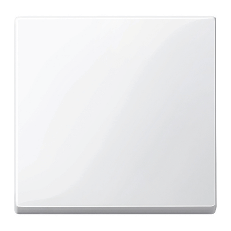 Merten 432119 Wippe – System M, 1-fach, polarweiß glänzend