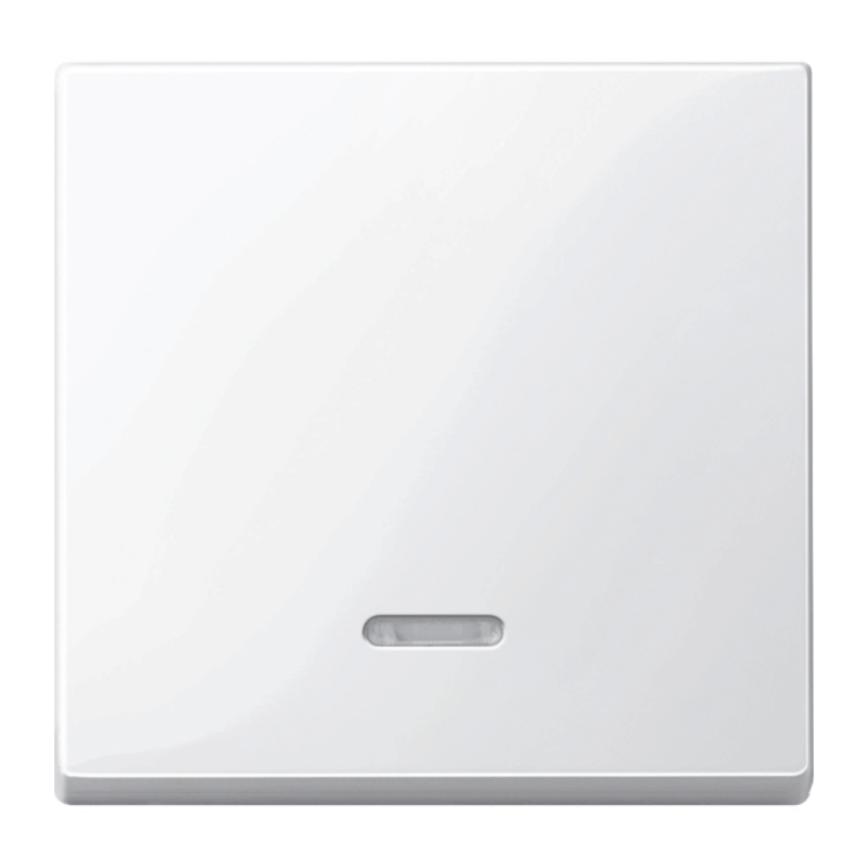Merten 436019 Kontrollwippe – System M, 1-fach, polarweiß glänzend