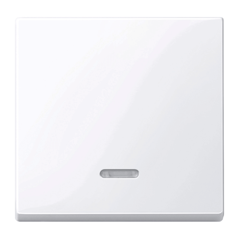 Merten 436025 Kontrollwippe – System M, 1-fach, aktivweiß glänzend