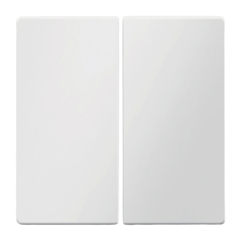 Berker 16236089 Wippe – Q.1/Q.3, 2-fach, polarweiß samt