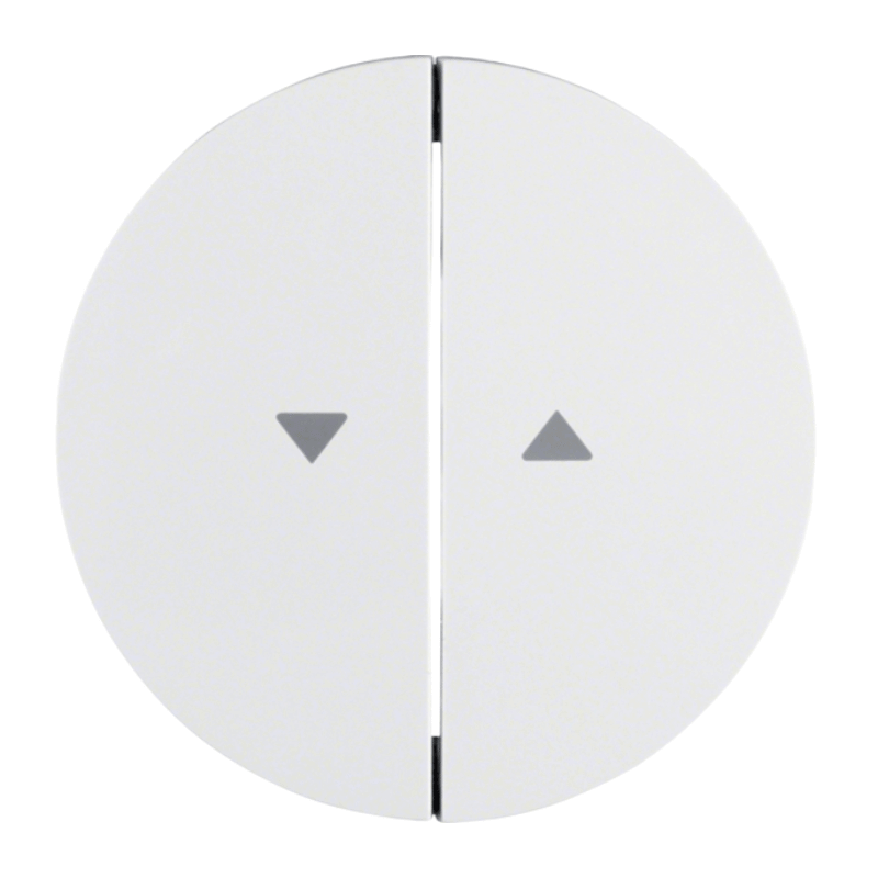 Berker 16252089 Wippe – R.1/R.3, 2-fach, Pfeil Symbol, polarweiß glänzend