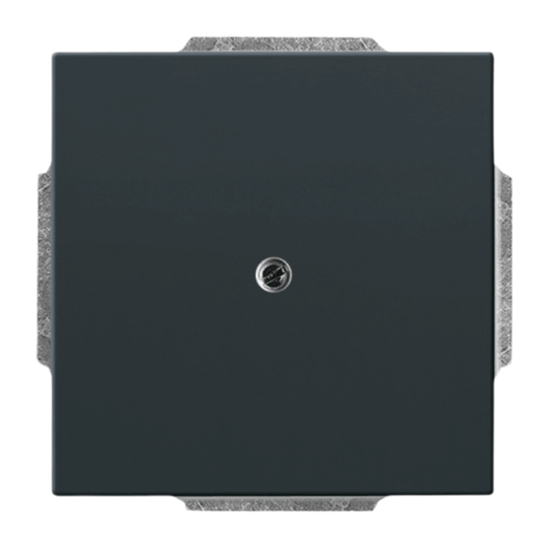 Busch-Jaeger 1742-81 Blindabdeckung – Future, Standard, anthrazit