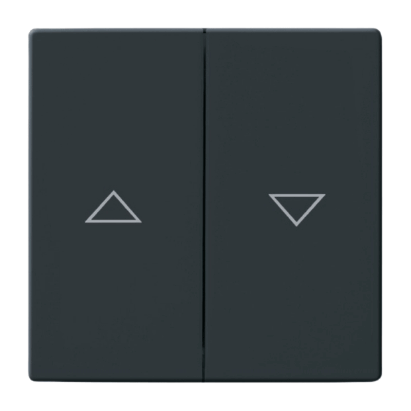 Busch-Jaeger 1785JA-81 Jalousiewippe – Future, 2-fach, anthrazit