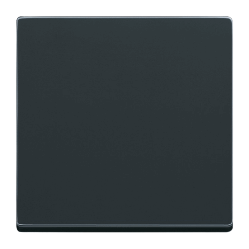 Busch-Jaeger 1786-81 Wippe – Future, 1-fach, anthrazit