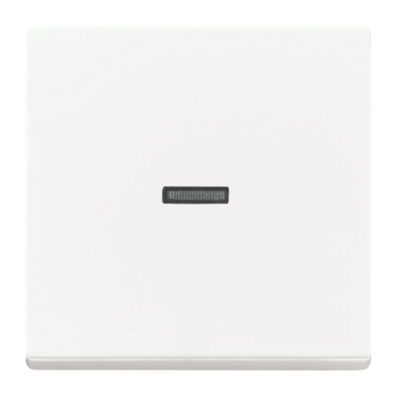 Busch-Jaeger 1789N-884 Kontrollwippe – Future, 1-fach, studioweiß matt