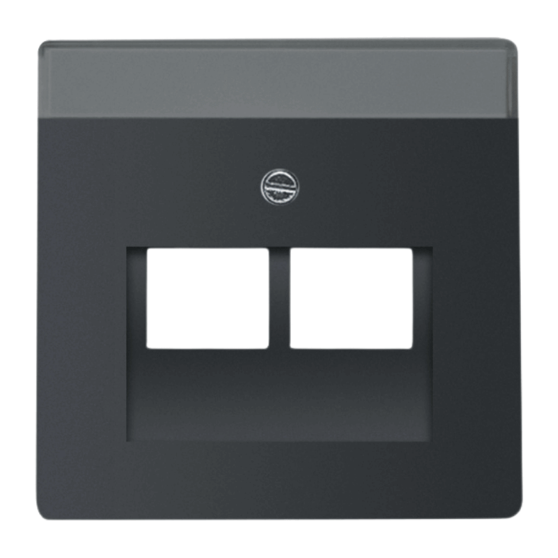 Busch-Jaeger 1803-02-885 Netzwerkabdeckung – Future, 2-fach, schwarz matt