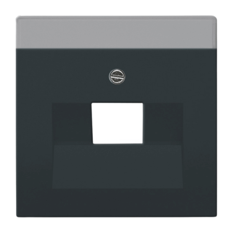 Busch-Jaeger 1803-81 Netzwerkabdeckung – Future, 1-fach, anthrazit