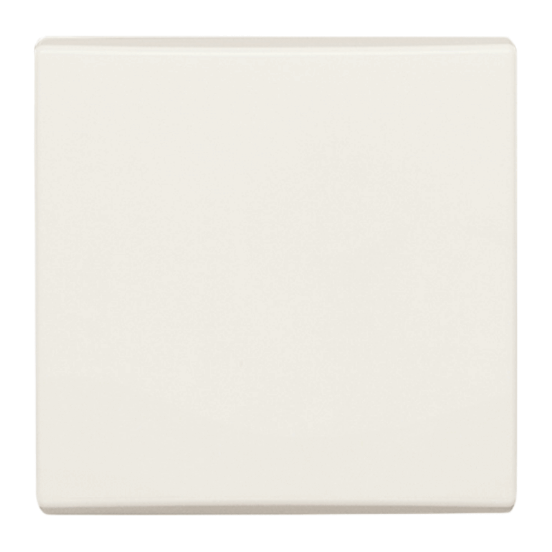 Busch-Jaeger 2106-32 Wippe – Allwetter 44, 1-fach, weiß