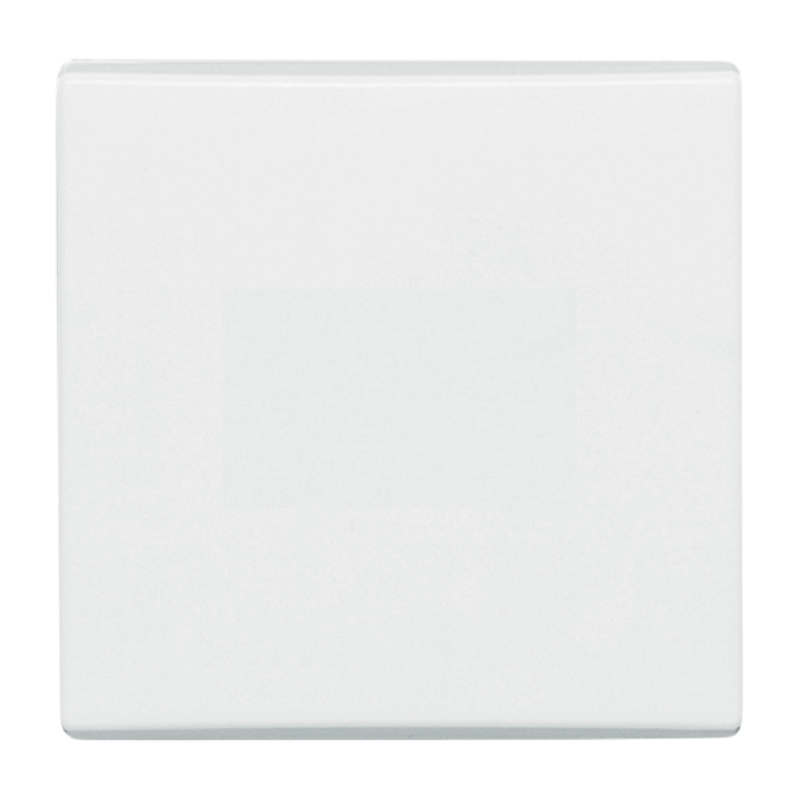 Busch-Jaeger 2106-34 Wippe – Allwetter 44, 1-fach, alpinweiß