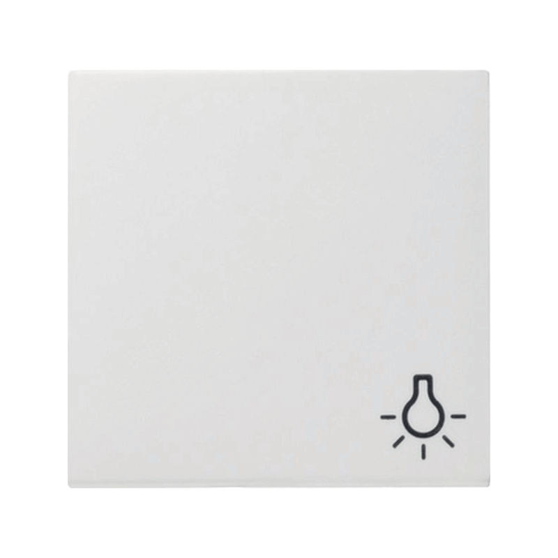 Gira 028503 Wippe – System 55, Symbol Licht, reinweiß glänzend