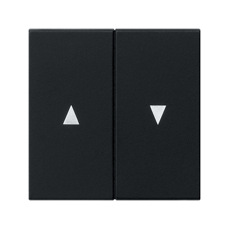 Gira 0294005 Wippe – System 55, 2-fach, Pfeilsymbol, schwarz matt