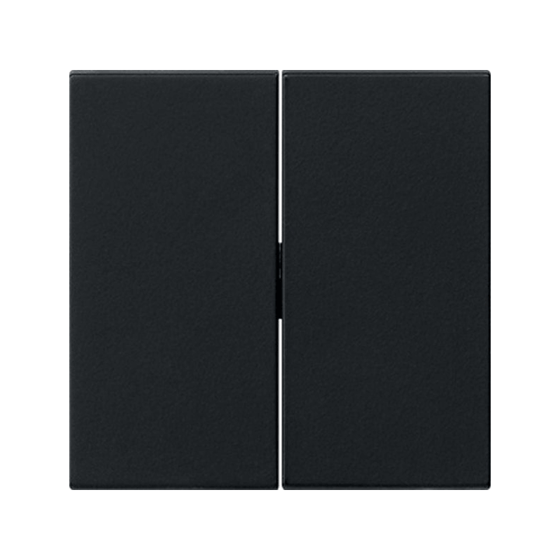 Gira 0295005 Wippe – System 55, 2-fach, schwarz matt