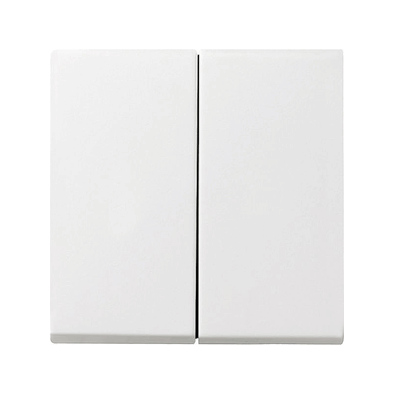 Gira 029527 Wippe – System 55, 2-fach, reinweiß seidenmatt
