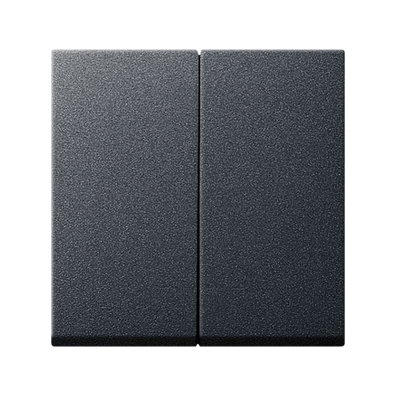 Gira 029528 Wippe – System 55, 2-fach, Serienwippe, anthrazit